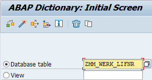 SE11 database table assignment