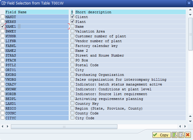 Select description field NAME1