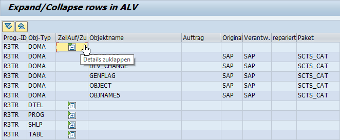SAP ALV with expanded detail rows visualization